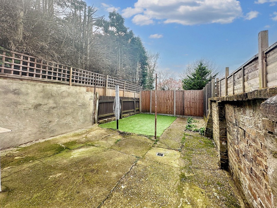 BAck Garden (3)