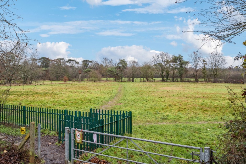 DSC08920-2767b2bfc4aa7ac9ab4b9964ccc83aaa