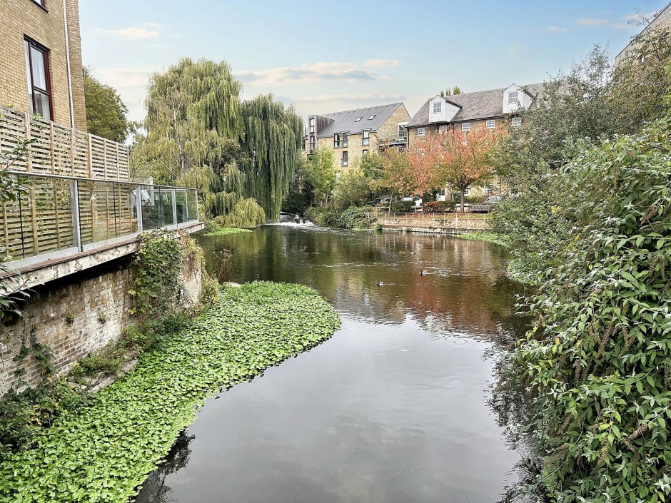 Kings Mill Way